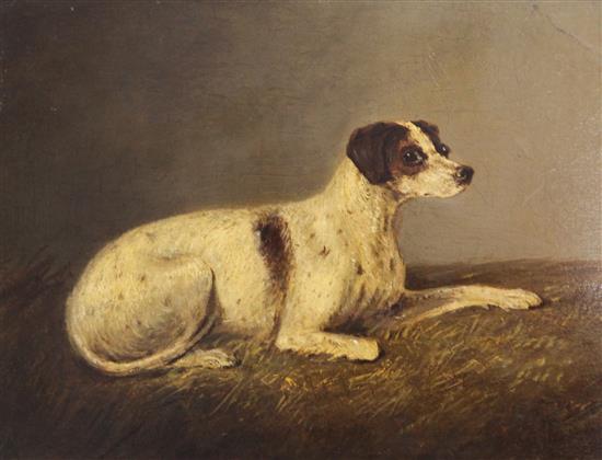 19th century English School Study of a hound, 10 x 13in.